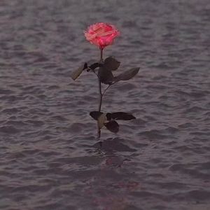 いつも何度でも