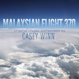 Malaysian Flight 370