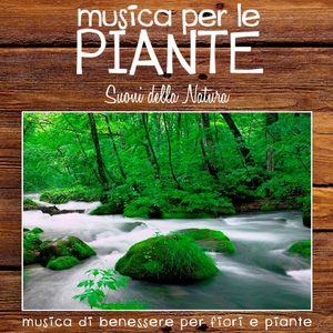 La foresta delle fate (Lo splendido suono della foresta)