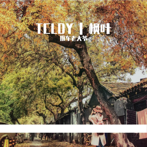 【Free】TCLDY | 枫叶