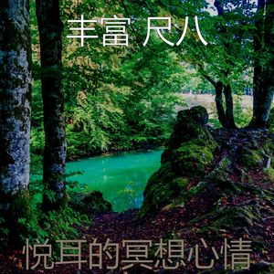 抚慰的回春回忆