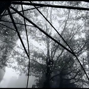 音频提取_232420_track0