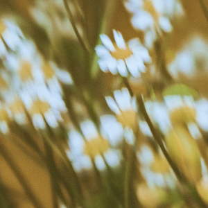 I know that you start OK