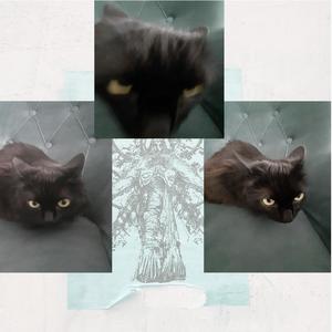 lubie klamac sobie w twarz