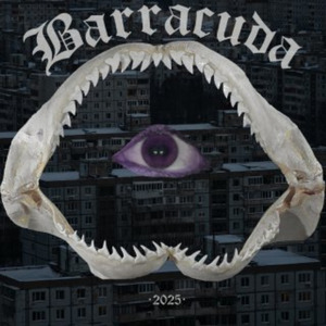 Barracuda