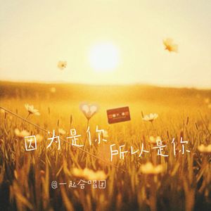 因为是你所以是你