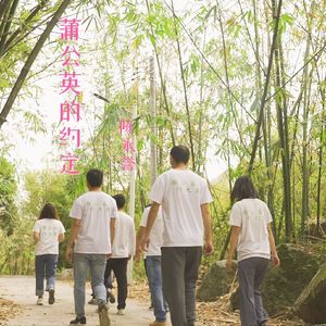 蒲公英的约定