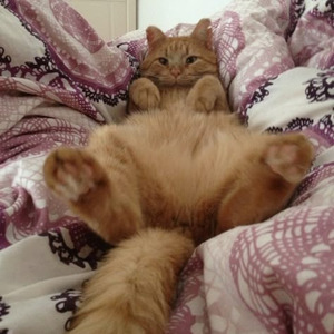 Second Love (slowed)