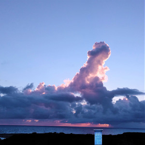 狂気の行進 (その3)