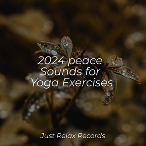 Mystic Midnight Soar