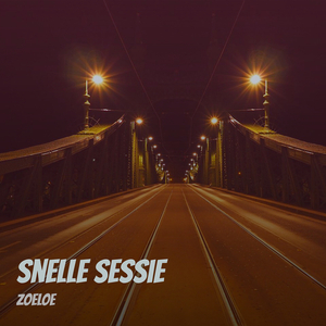 Snelle Sessie