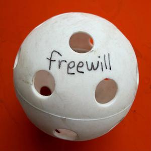 Freewill