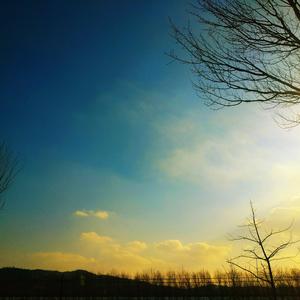 你在黑暗中离去