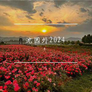 沈园外2024