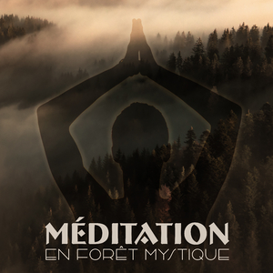 Équilibrage des chakras