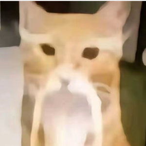 ㅤㅤㅤㅤㅤㅤㅤㅤㅤㅤ