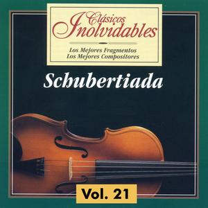 Violin Sonata in A Minor D. 385 Op. post. 137: I. Allegro moderato