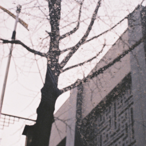 발자국 Footprint