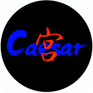 Jannik-Grace(惊鸿)（Caesar宫 Remix）