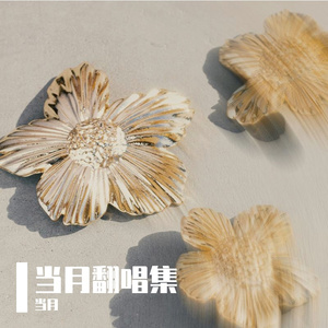 秋叶流歌（cover黄诗扶&岑先生）