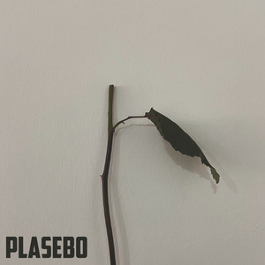 Plasebo