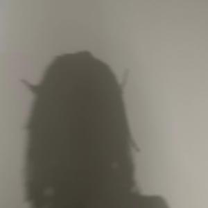 I can't believe you'd do this to me