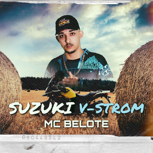 Suzuki V-Strom