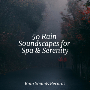 Echoes of the Urban Storm