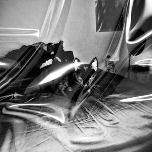 Subi (feat. Stepdadvic)