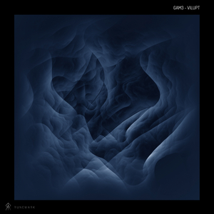 Vilupt (Original Mix)