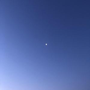 不求月老 橙子&七七