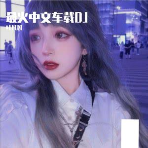 做我老婆好不好 车载DJ