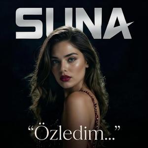 Özledim (Moody R&B Version)