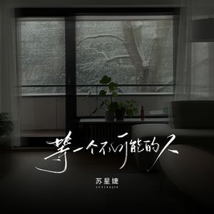 等一个不可能的人