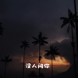 没人问你 (Remix问就是黑化)