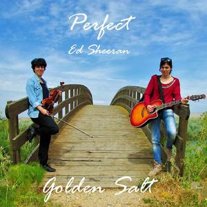 Perfect (Violin & Guitar Instrumental)