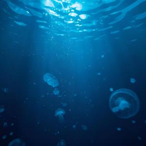 深い夢に還る音