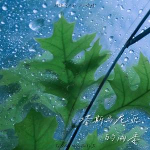 塔斯马尼亚的雨季