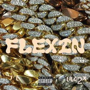 Flexin (feat. LilQ2x)