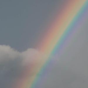 Cpdd （prod by 船长）