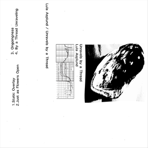 Just as Flowers Open