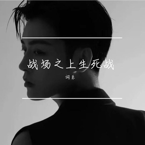 战场之上生死战