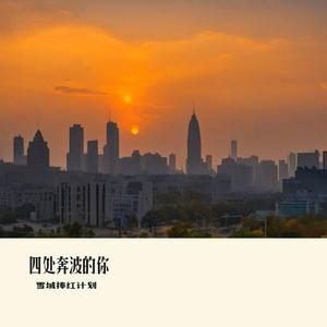 四处奔波的你