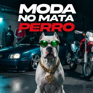 Moda No Mata Perro