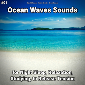 Ocean Waves Sounds Part 37