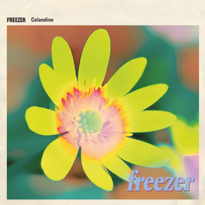 Celandine