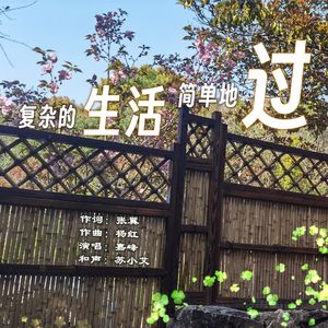 复杂的生活简单地过