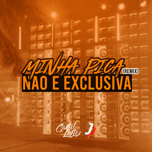 Minha Pica Não É Exclusiva (Remix)