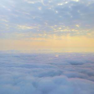 【FREE】WeatheringWithYou