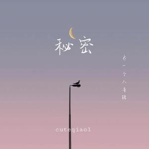 秘密 伴奏
